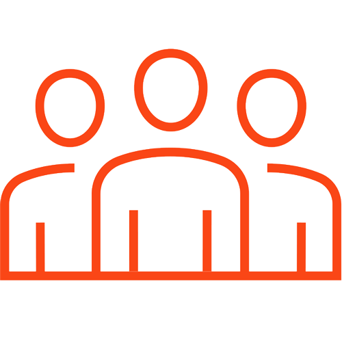 Meet the Team